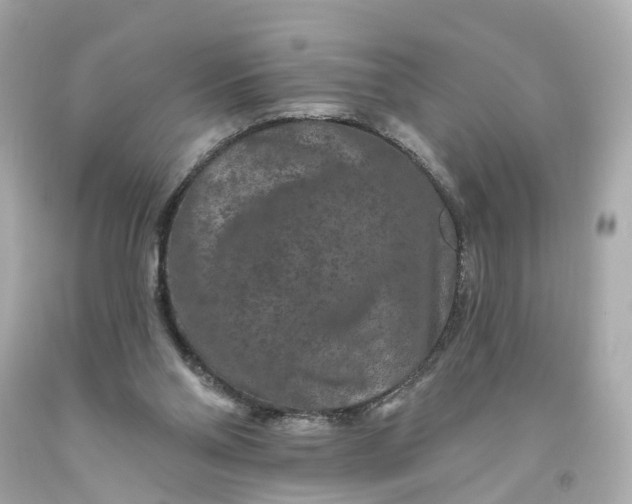 X0000093580110200710291110