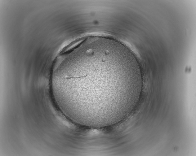 X0000093580111200710291110