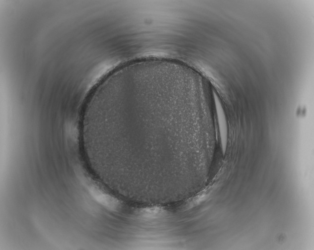 X0000093580112200710291109