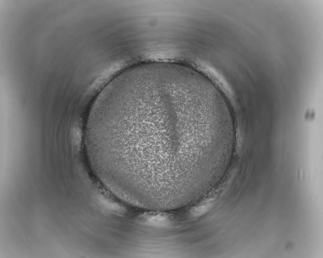 X0000093580113200710291109