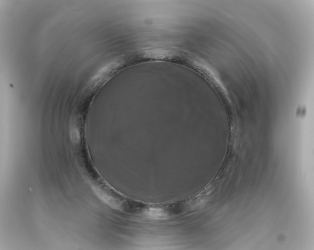 X0000093580114200710291109