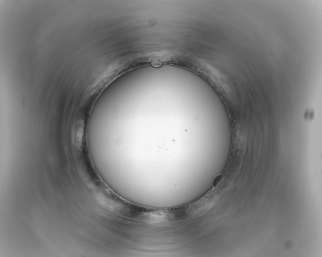 X0000093580118200710291109