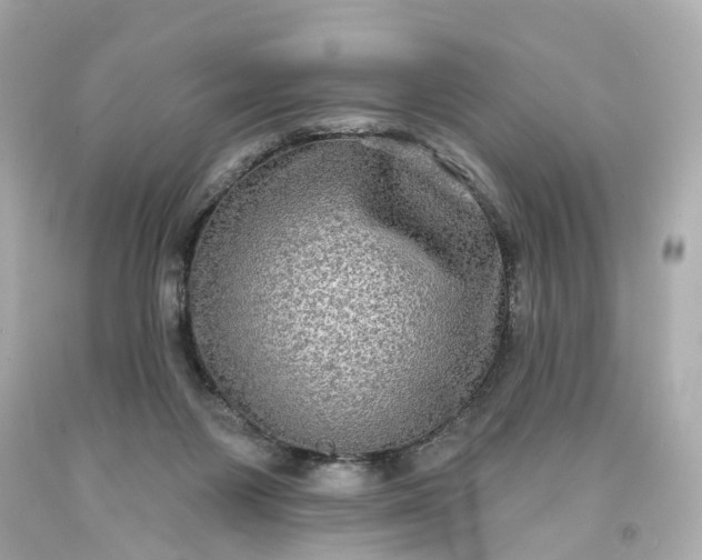 X0000093580119200710291109