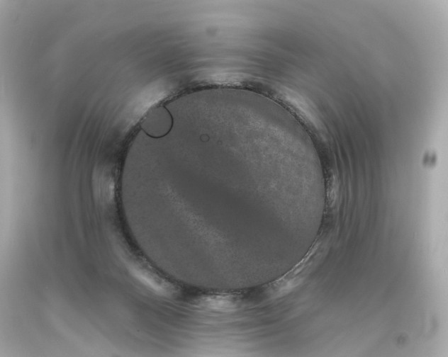 X0000093580120200710291109