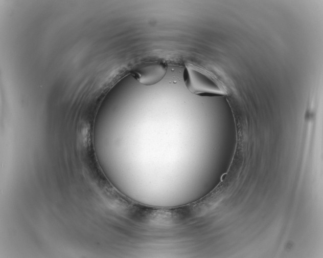 X0000093580123200710291109