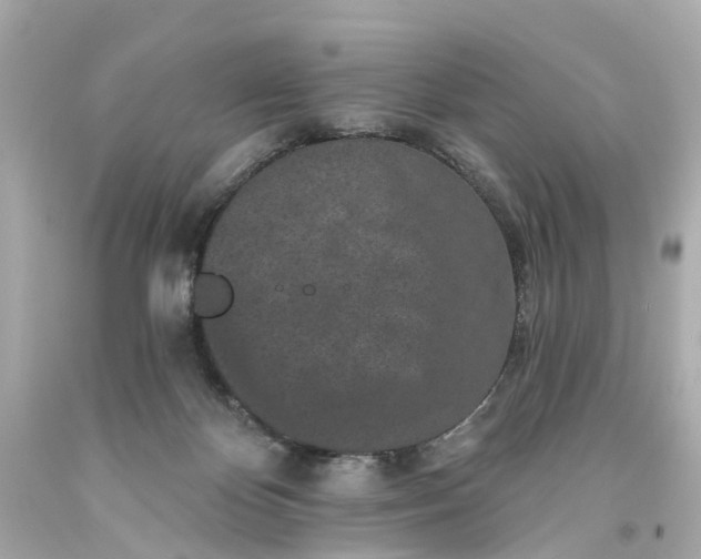 X0000093580124200710291109