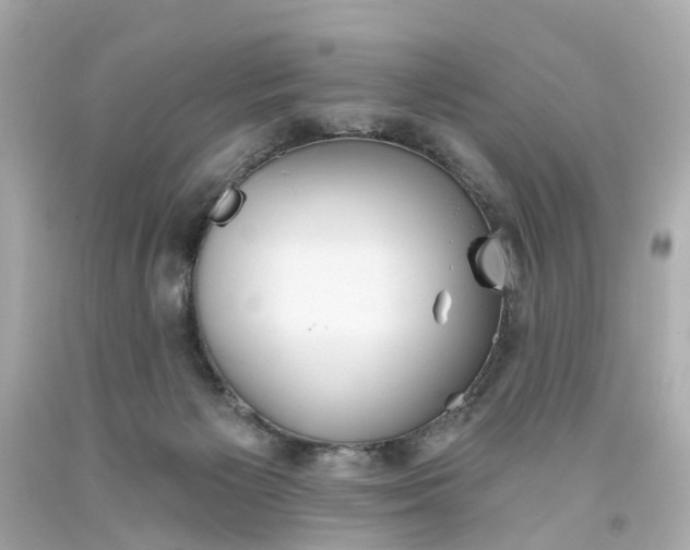 X0000093580125200710291109