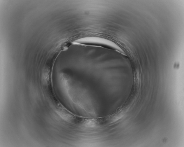 X0000093580127200710291109