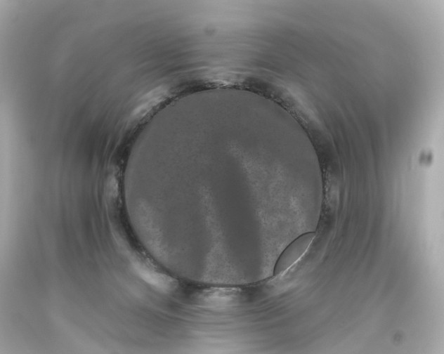 X0000093580128200710291109