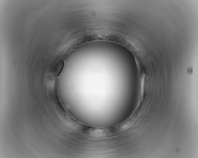 X0000093580129200710291109