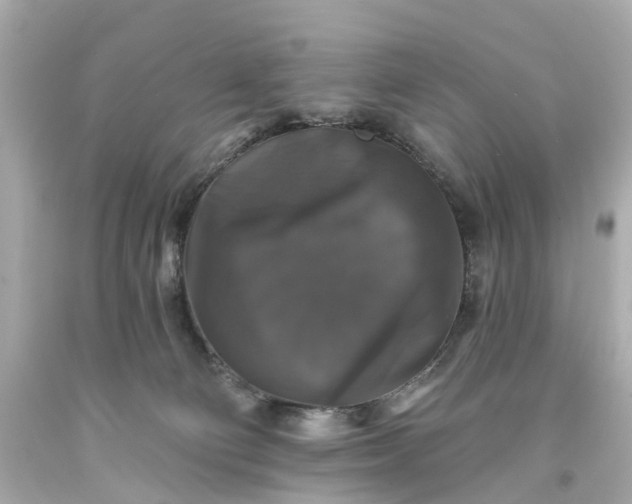 X0000093580130200710291109