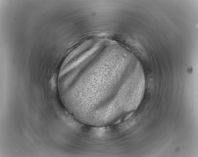 X0000093580131200710291109