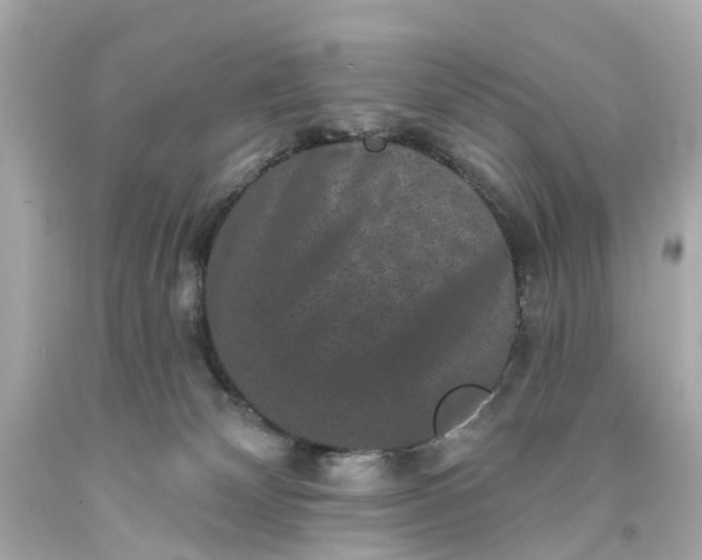 X0000093580132200710291109