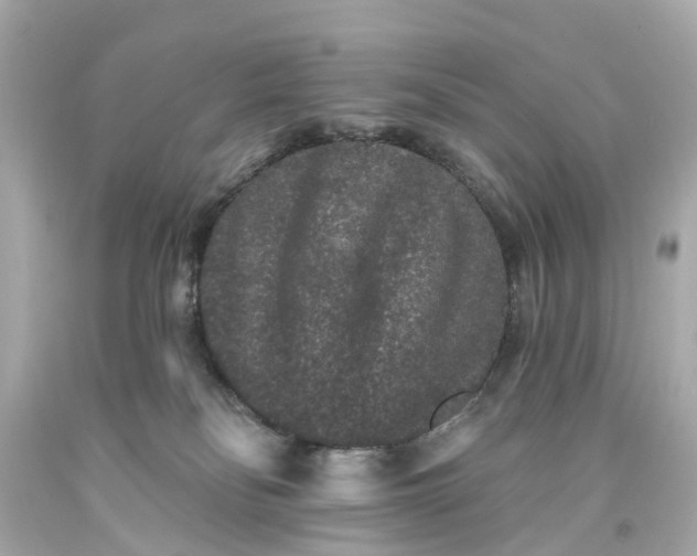 X0000093580134200710291109