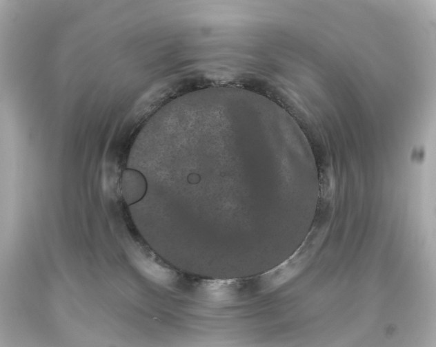 X0000093580136200710291109