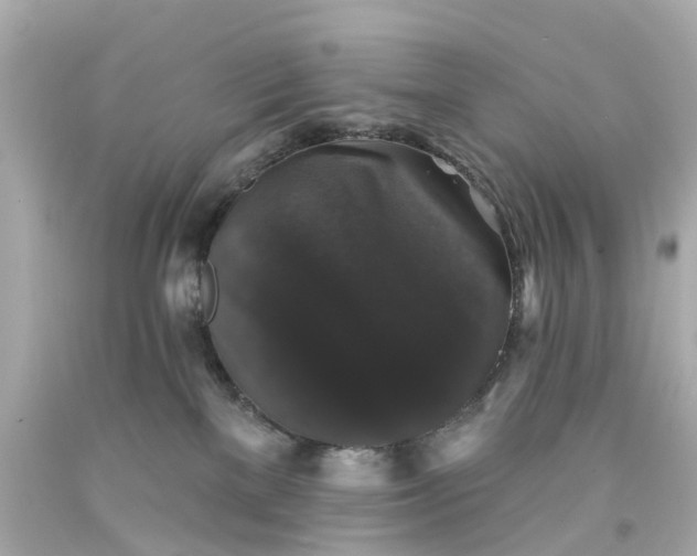 X0000093580137200710291109