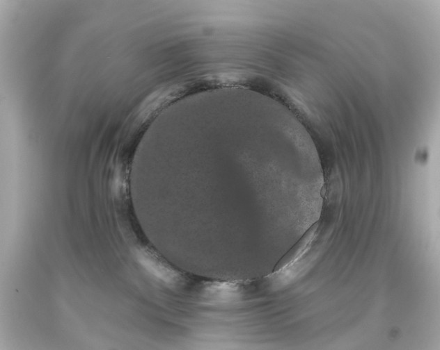 X0000093580140200710291109