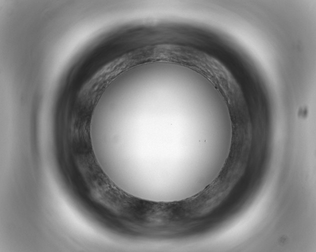 X0000093580142200710291109