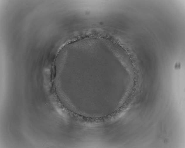 X0000093580144200710291109