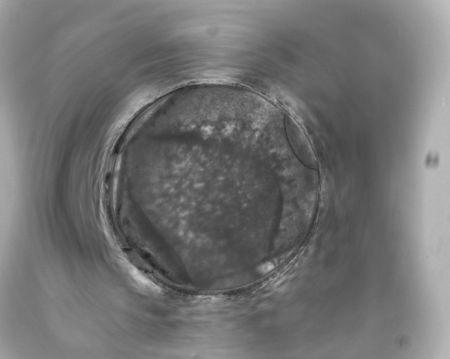 X0000093580145200710291108