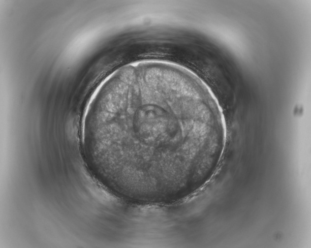 X0000093580146200710291108