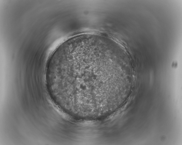 X0000093580149200710291109