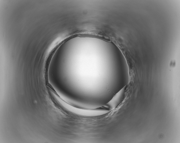 X0000093580150200710291109