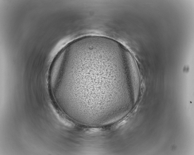 X0000093580151200710291109