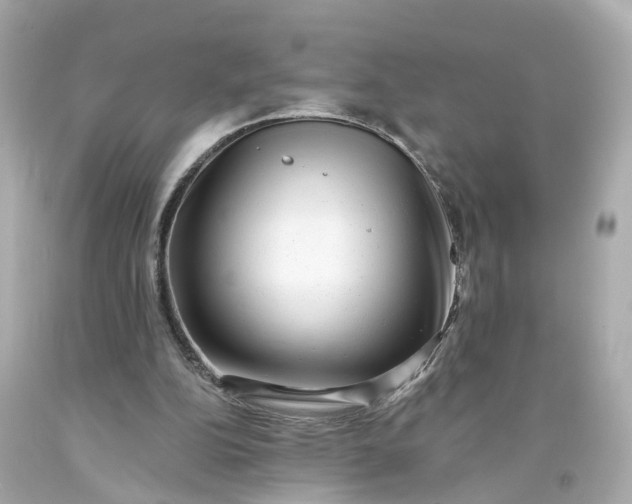 X0000093580152200710291109