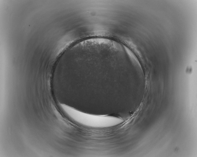 X0000093580154200710291109