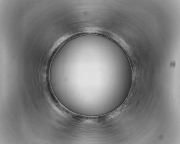 X0000093580155200710291109