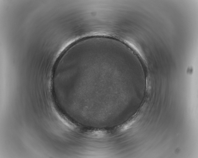 X0000093580156200710291109