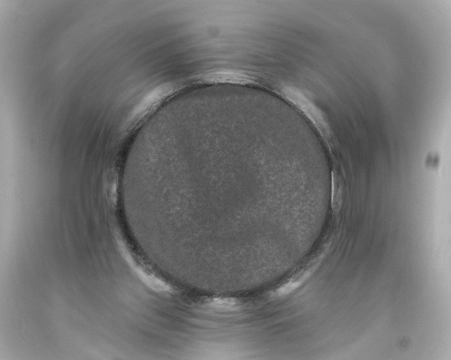 X0000093580157200710291109