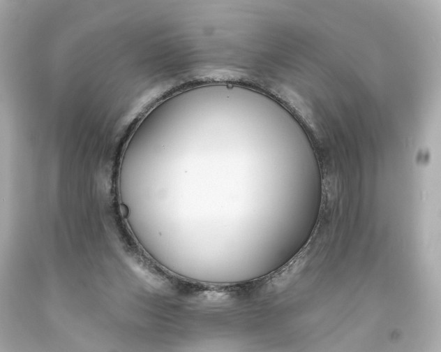 X0000093580159200710291109