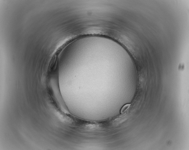 X0000093580160200710291109