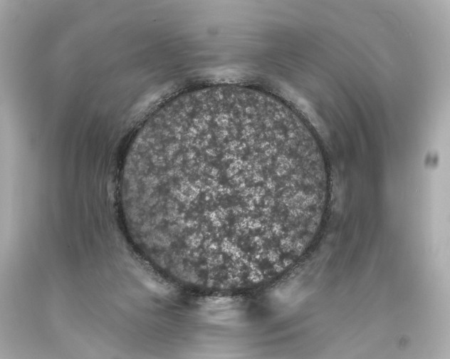 X0000093580161200710291109