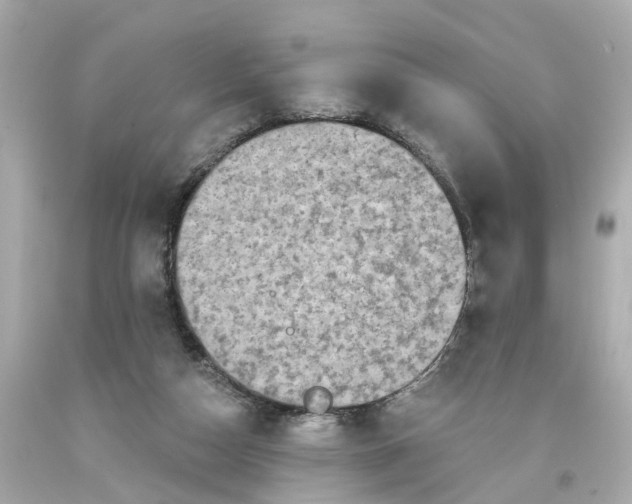 X0000093580162200710291109