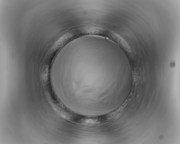 X0000093580163200710291109