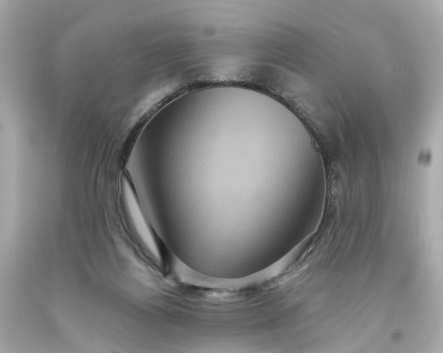 X0000093580164200710291109