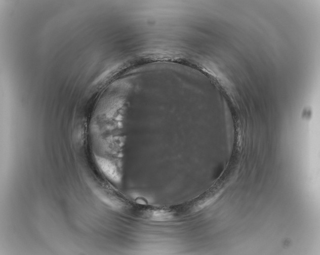 X0000093580165200710291109