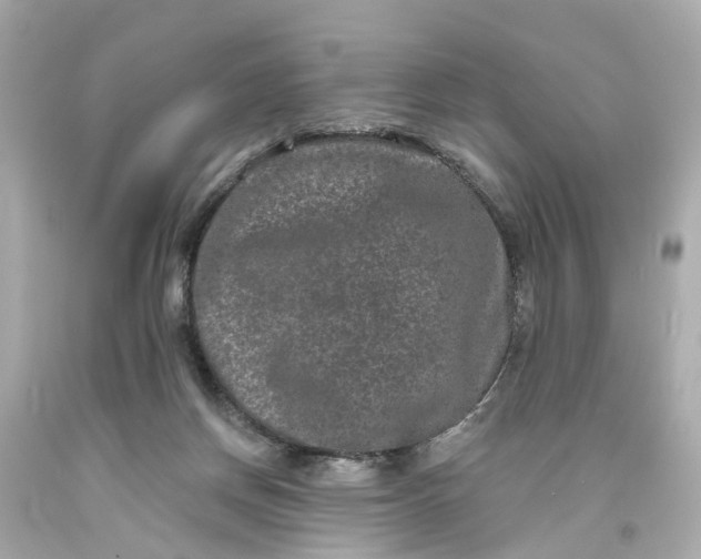 X0000093580166200710291109