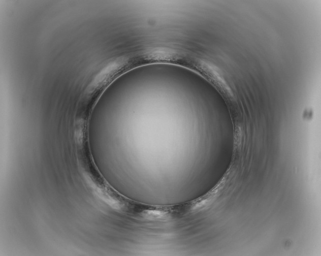 X0000093580167200710291109