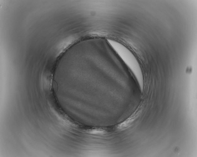 X0000093580168200710291109