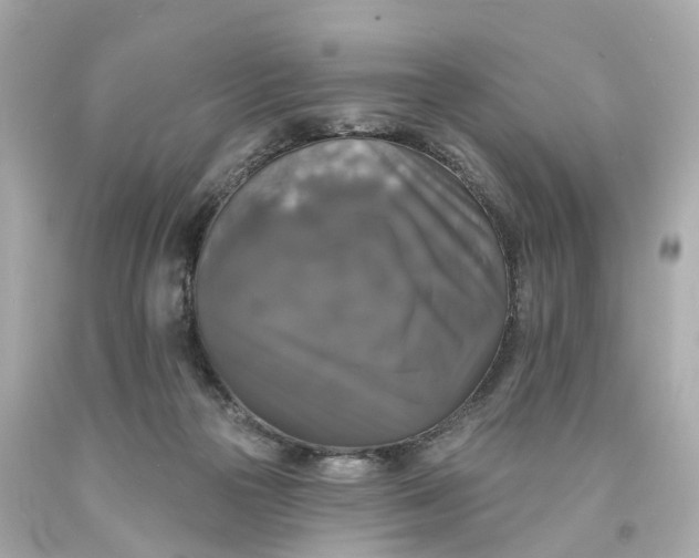 X0000093580169200710291109