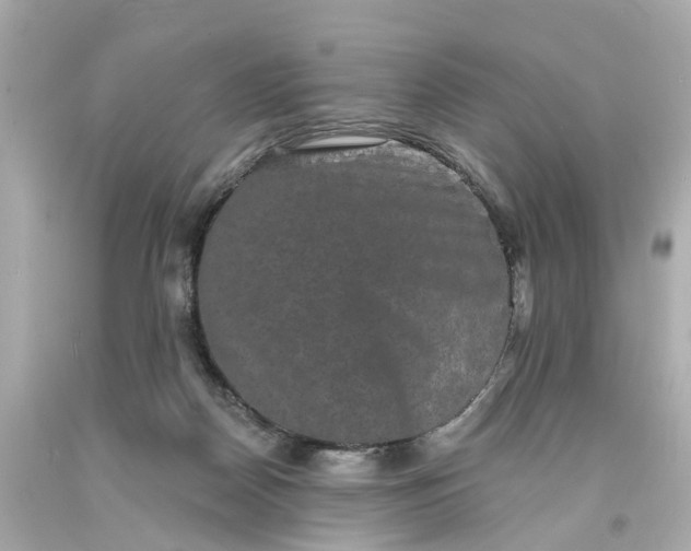 X0000093580170200710291109