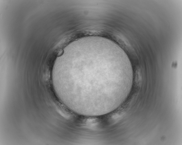 X0000093580173200710291109