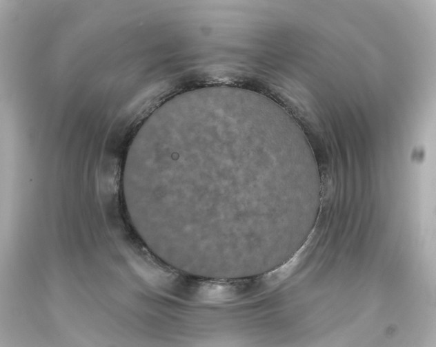 X0000093580174200710291109