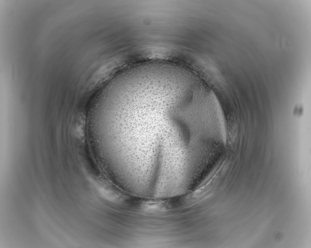 X0000093580175200710291109