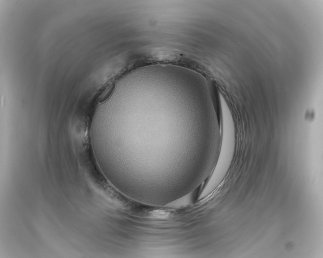 X0000093580176200710291109