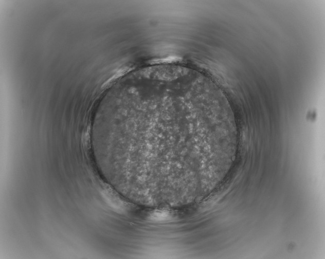 X0000093580177200710291109